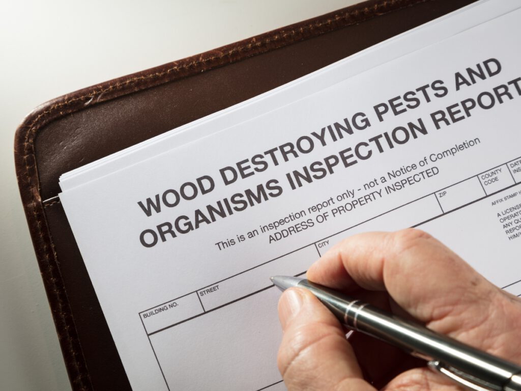 Termite Inspection Report Document
